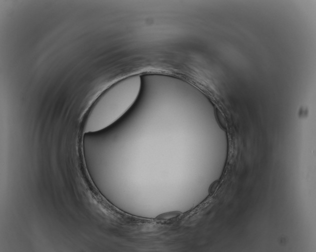 X0000093510098200710121111
