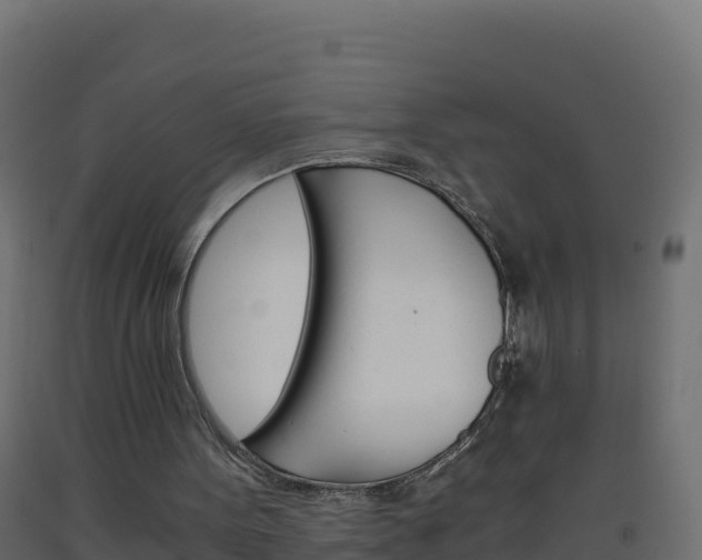 X0000093510099200710121111