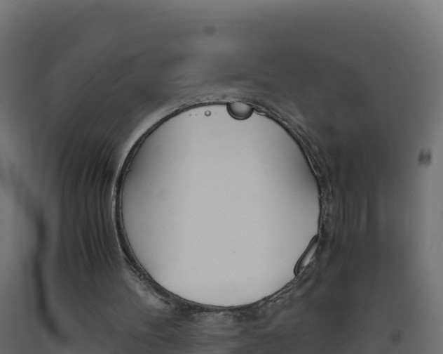 X0000093510100200710121111