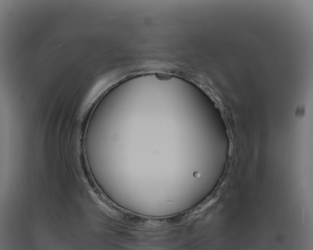 X0000093510101200710121111