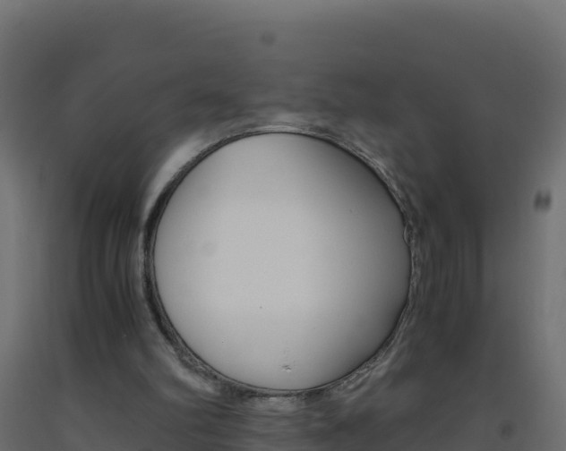 X0000093510102200710121111