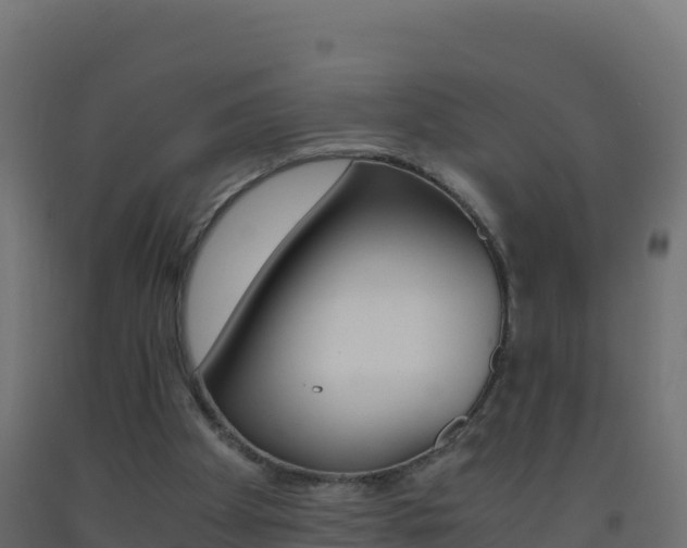 X0000093510105200710121111