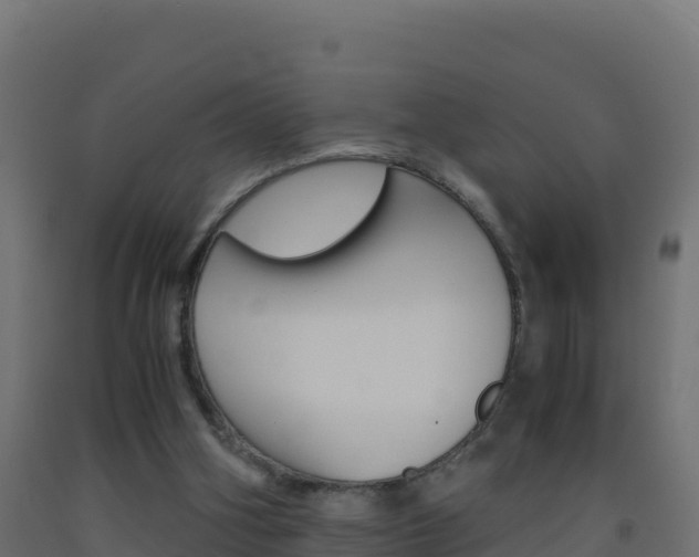 X0000093510106200710121111