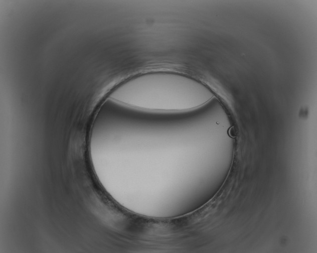 X0000093510107200710121111