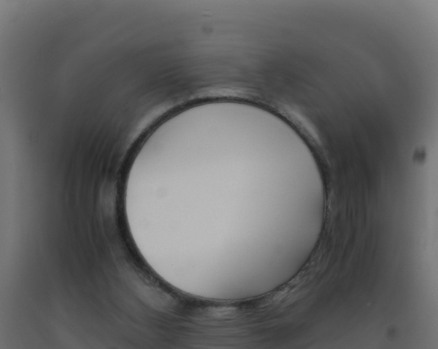 X0000093510108200710121111
