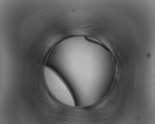 X0000093510109200710121111