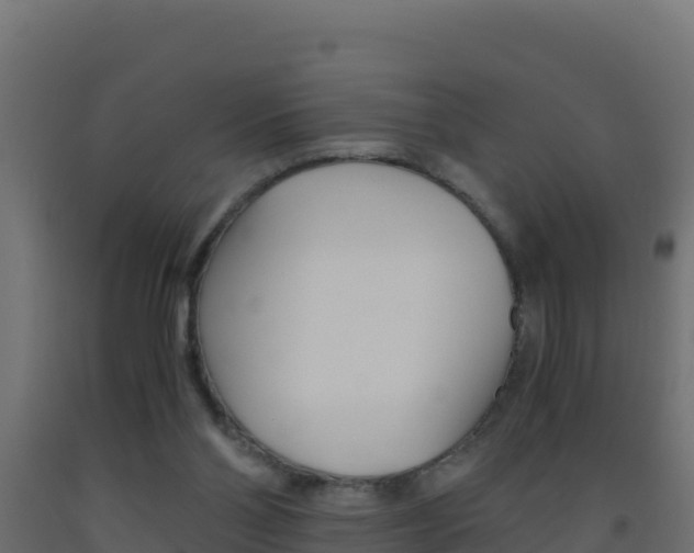 X0000093510110200710121111