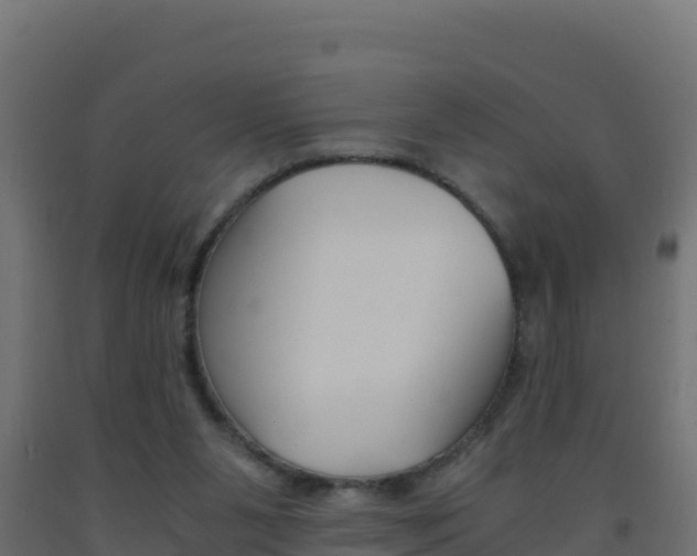X0000093510111200710121111