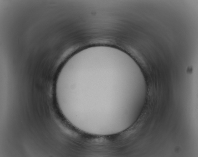X0000093510112200710121111