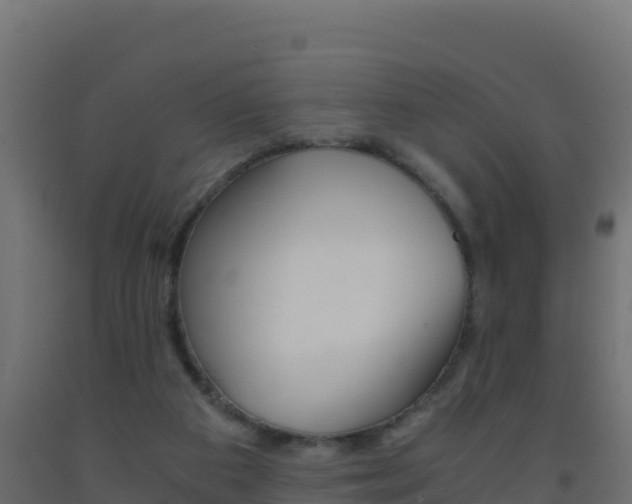 X0000093510113200710121111