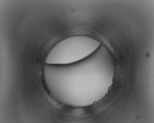 X0000093510114200710121111