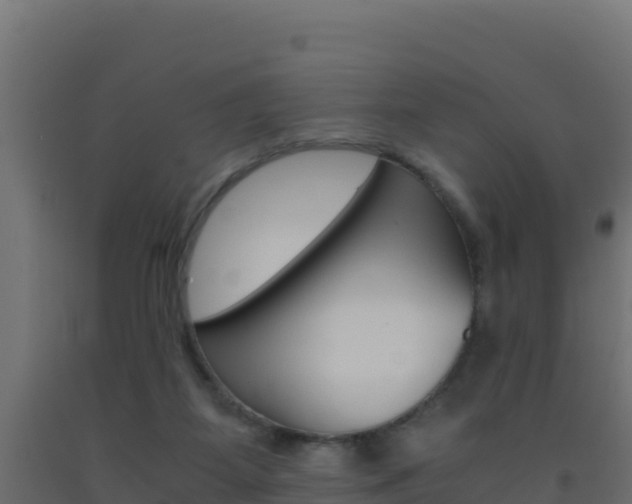 X0000093510115200710121111