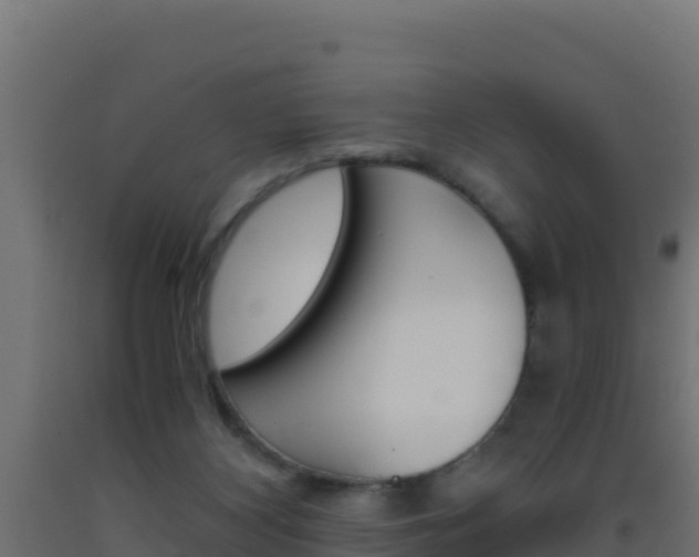 X0000093510116200710121111