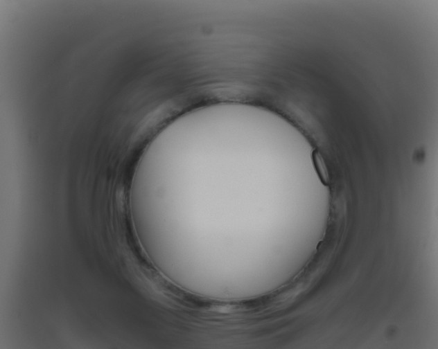 X0000093510117200710121111
