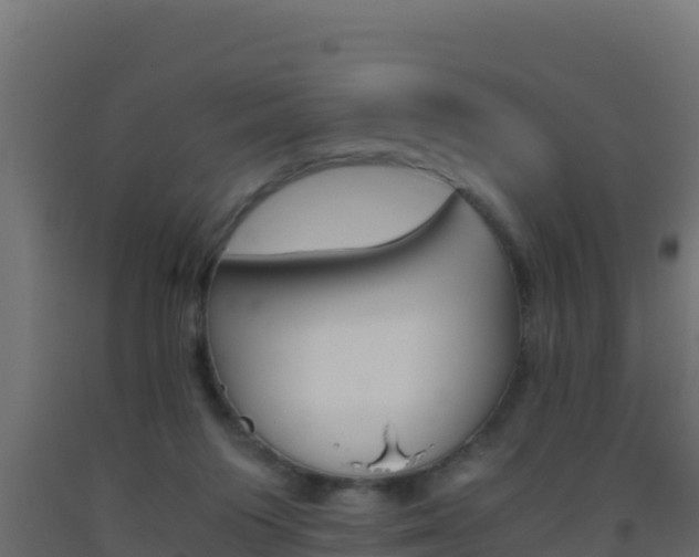 X0000093510119200710121111