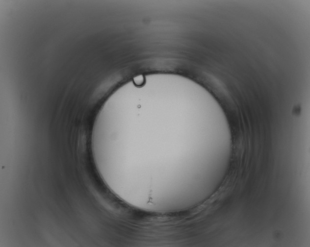 X0000093510120200710121111