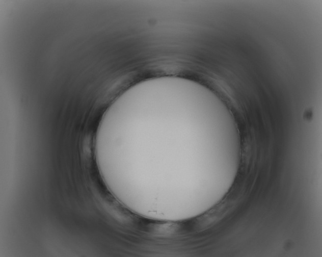 X0000093510122200710121111