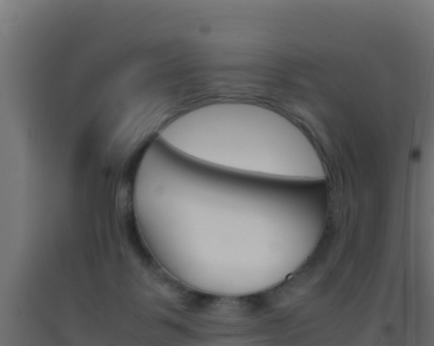 X0000093510123200710121111