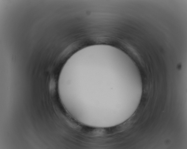 X0000093510124200710121111