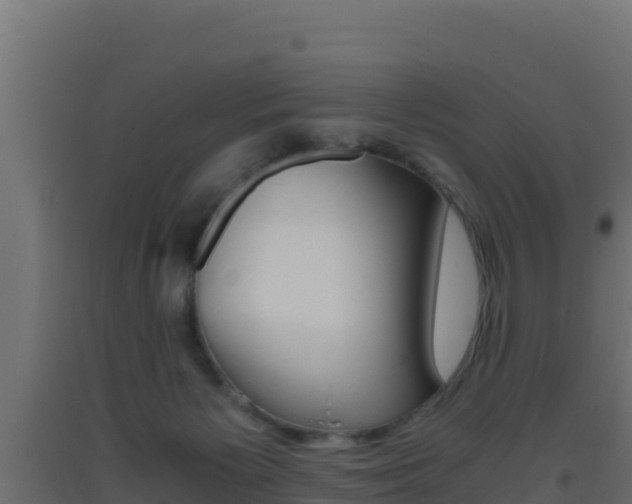 X0000093510125200710121111