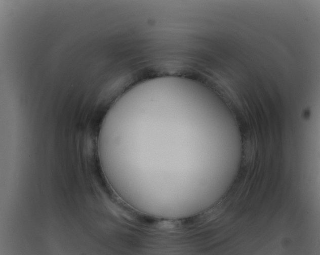 X0000093510126200710121111