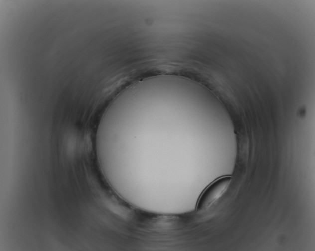X0000093510128200710121111