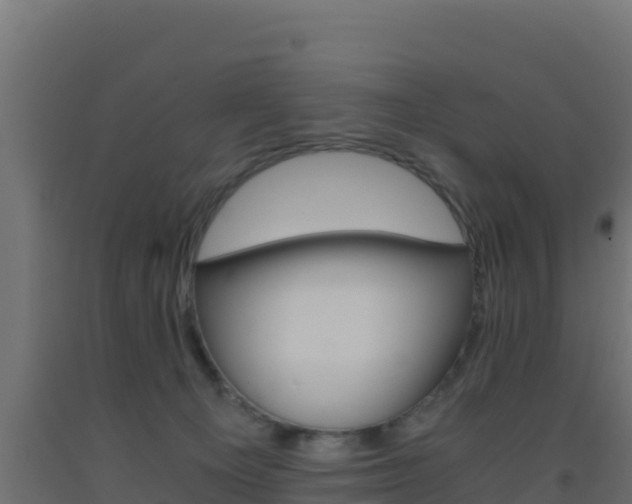 X0000093510129200710121111
