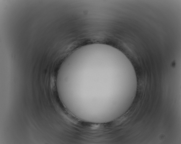 X0000093510130200710121111