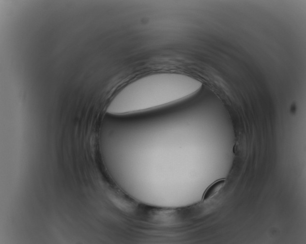 X0000093510132200710121111