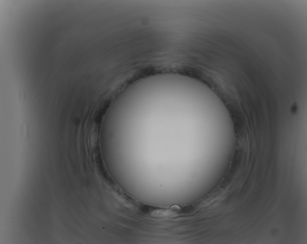X0000093510133200710121111