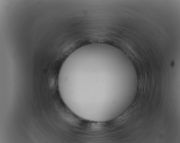 X0000093510134200710121111