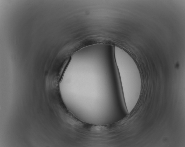 X0000093510137200710121111