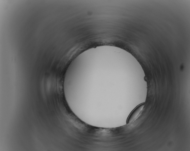 X0000093510140200710121111