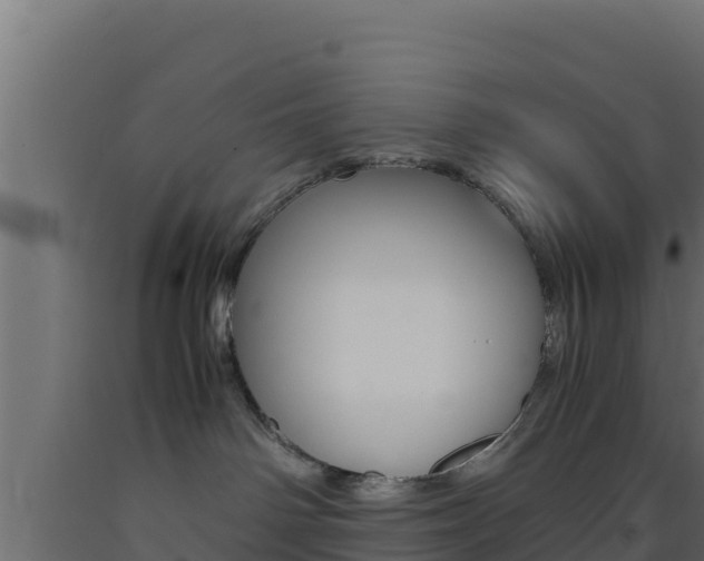 X0000093510142200710121110