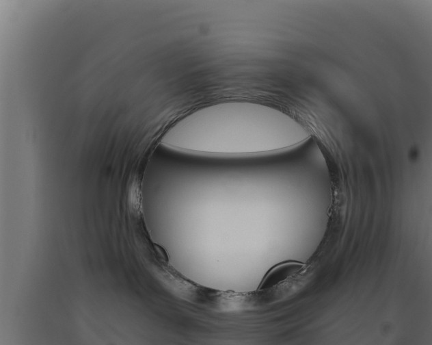 X0000093510143200710121110
