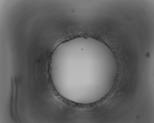 X0000093510144200710121110