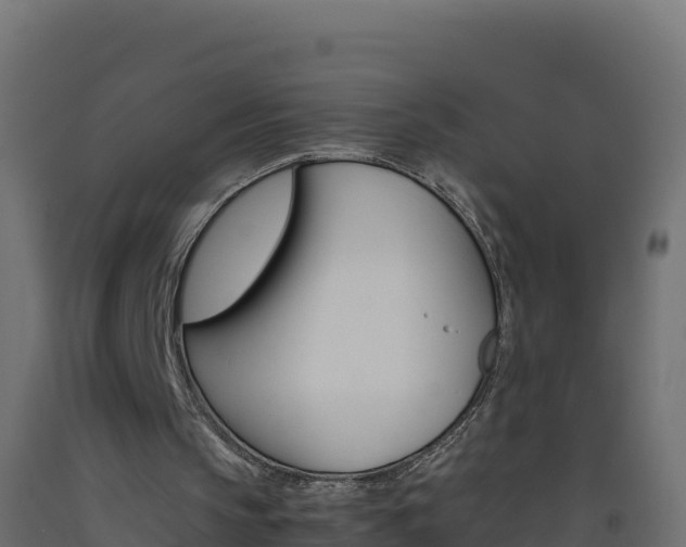 X0000093510145200710121110