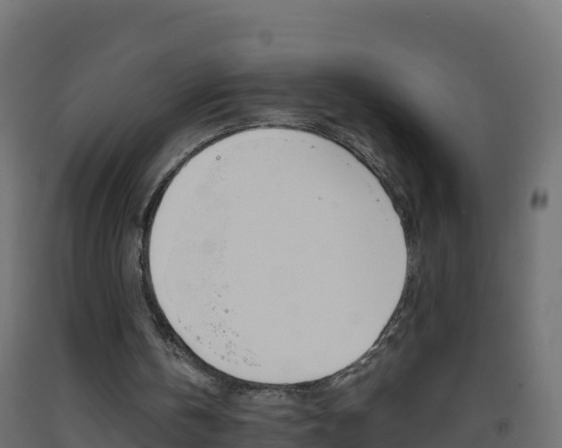 X0000093510146200710121110