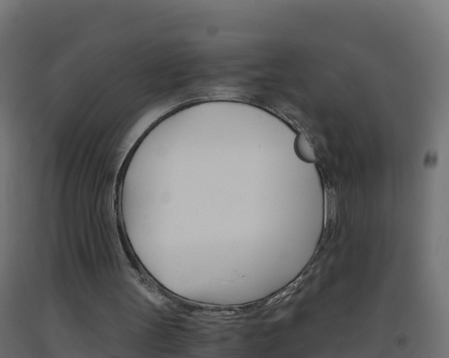X0000093510147200710121110