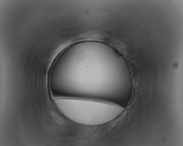 X0000093510148200710121110