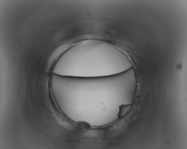 X0000093510149200710121110