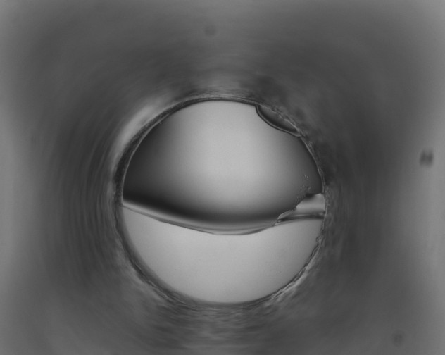 X0000093510150200710121110