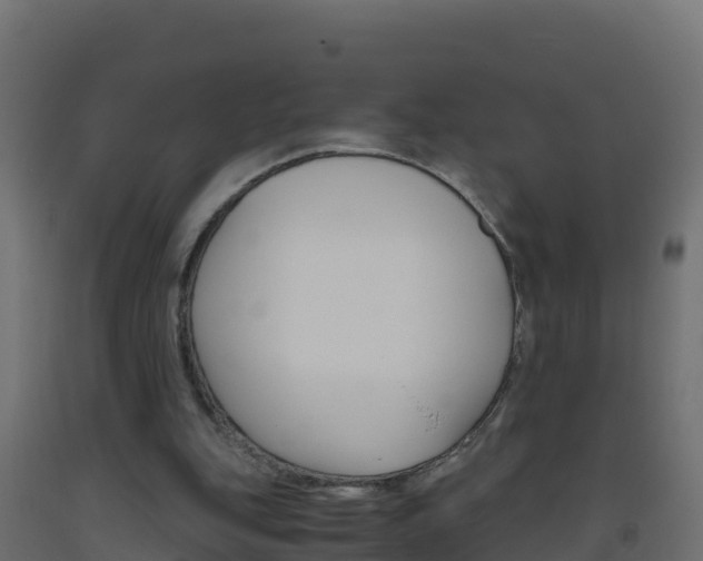 X0000093510151200710121110