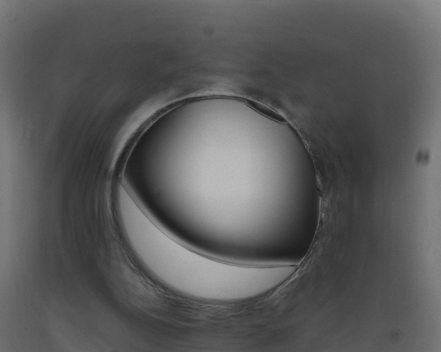 X0000093510152200710121110