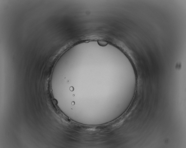 X0000093510153200710121110