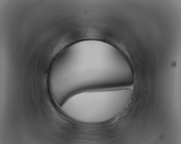 X0000093510154200710121110