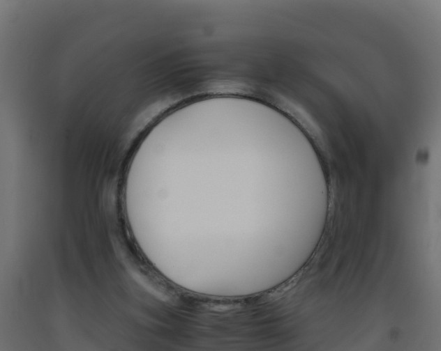 X0000093510155200710121110