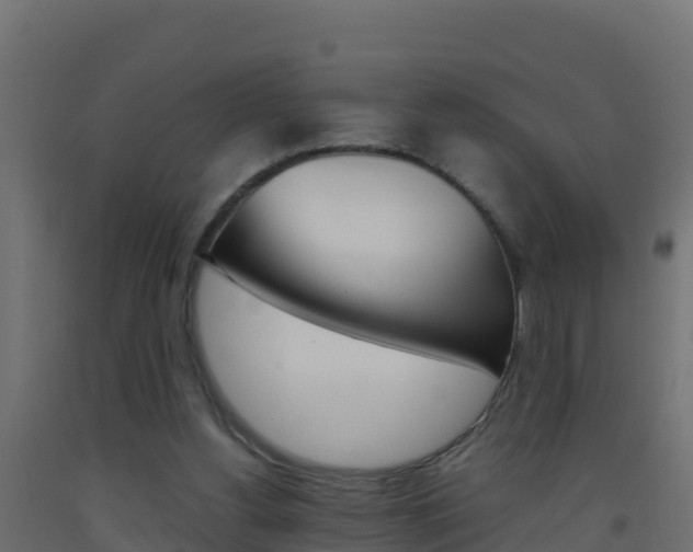 X0000093510156200710121110