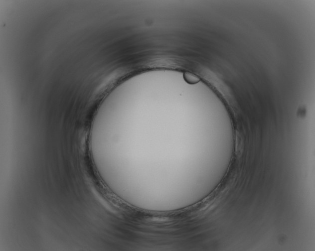 X0000093510157200710121110