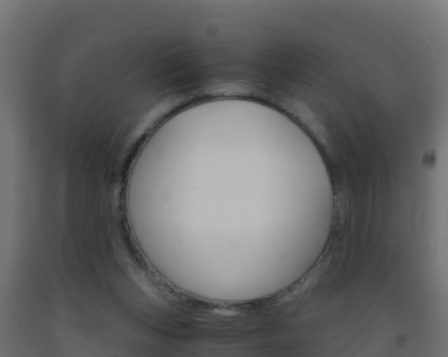 X0000093510159200710121110